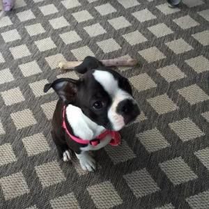 Meet your Posher, Donna